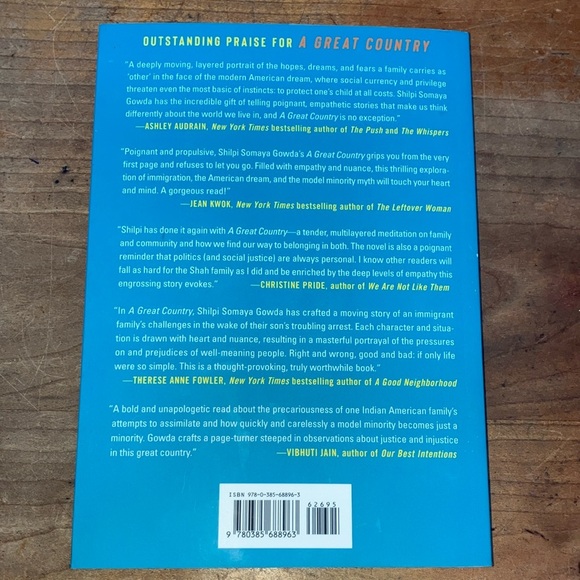 A Great Country by Shilpi Somaya Gowda - Picture 3 of 14